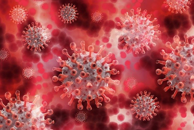 Corona Virus New Variant : क्या है डेल्टा और डेल्टा प्लस, जानिए पहले  से कितना खतरनाक है नया कोरोना म्यूटेंट | Update 2021